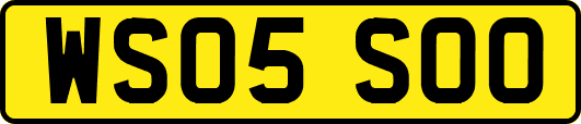 WS05SOO