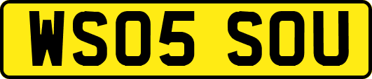 WS05SOU
