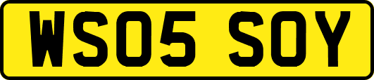 WS05SOY