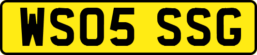 WS05SSG