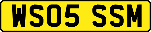 WS05SSM