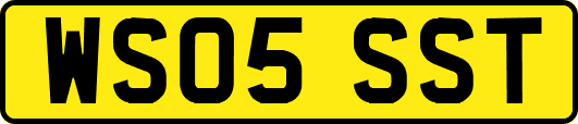 WS05SST