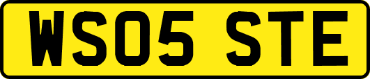 WS05STE