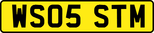 WS05STM