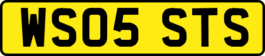 WS05STS