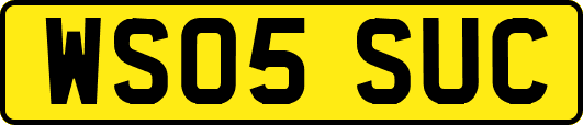 WS05SUC
