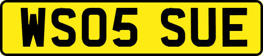 WS05SUE