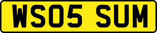 WS05SUM