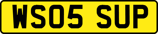WS05SUP
