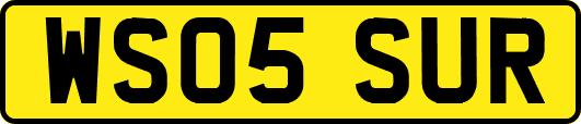 WS05SUR