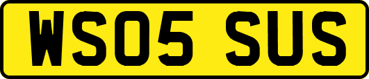 WS05SUS