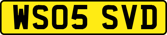 WS05SVD