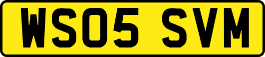 WS05SVM