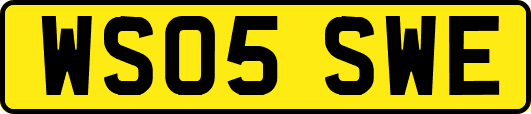 WS05SWE
