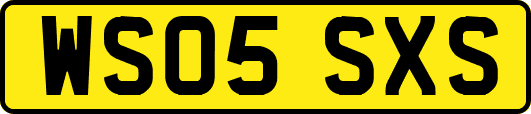 WS05SXS