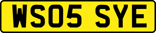 WS05SYE