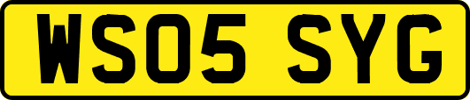 WS05SYG