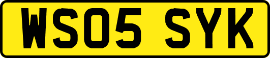 WS05SYK