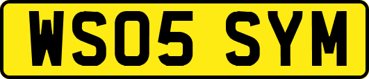 WS05SYM