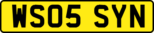 WS05SYN