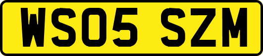 WS05SZM