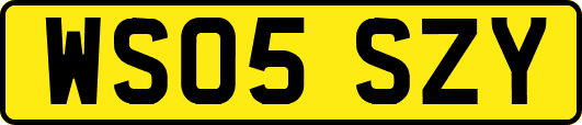 WS05SZY