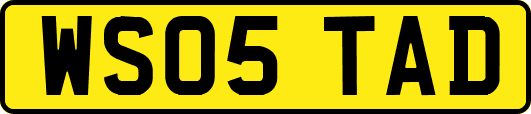 WS05TAD