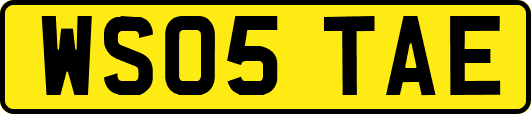 WS05TAE