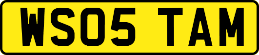WS05TAM