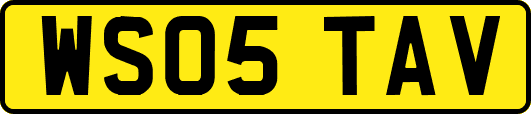 WS05TAV