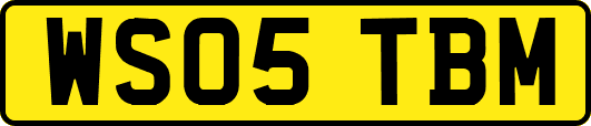 WS05TBM