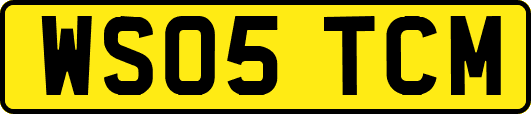 WS05TCM