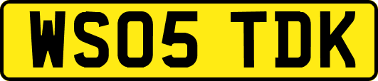 WS05TDK