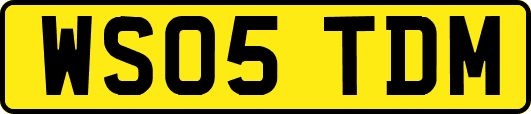 WS05TDM