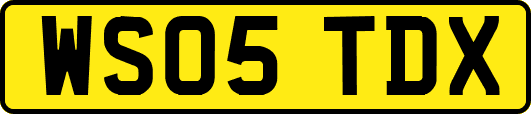 WS05TDX