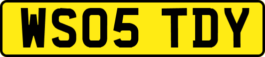 WS05TDY