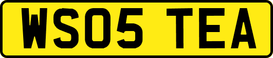 WS05TEA