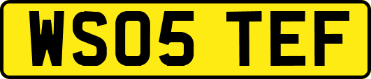 WS05TEF