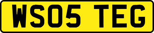 WS05TEG