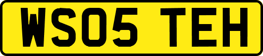 WS05TEH