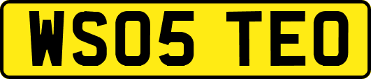WS05TEO