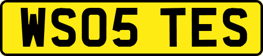 WS05TES