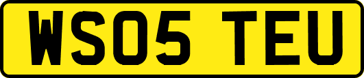 WS05TEU