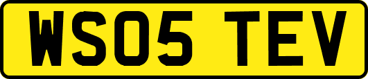 WS05TEV