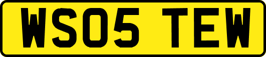 WS05TEW