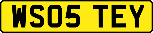 WS05TEY
