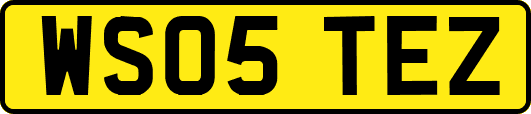 WS05TEZ