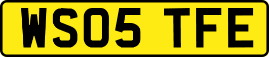 WS05TFE
