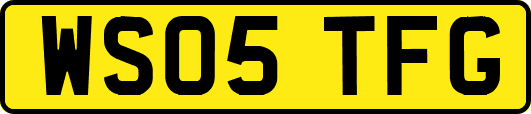 WS05TFG