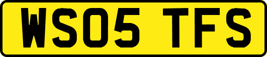 WS05TFS